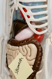 improve digestion naturally